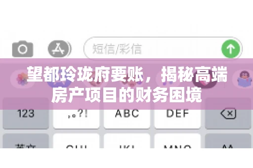 望都玲珑府要账，揭秘高端房产项目的财务困境