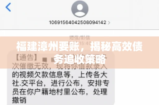 福建漳州要账，揭秘高效债务追收策略