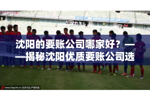 沈阳的要账公司哪家好？——揭秘沈阳优质要账公司选择指南