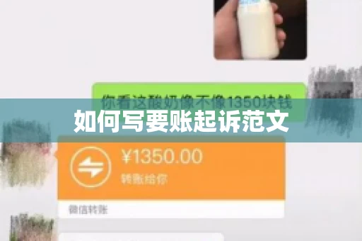 如何写要账起诉范文