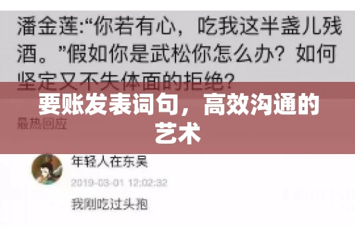 要账发表词句，高效沟通的艺术