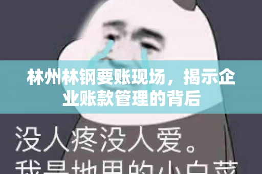 林州林钢要账现场，揭示企业账款管理的背后