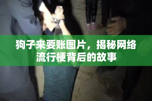 狗子来要账图片，揭秘网络流行梗背后的故事