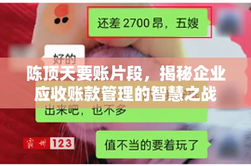 陈顶天要账片段，揭秘企业应收账款管理的智慧之战