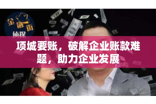 项城要账，破解企业账款难题，助力企业发展