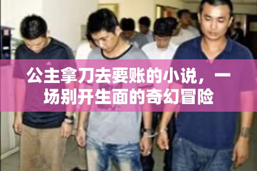 公主拿刀去要账的小说，一场别开生面的奇幻冒险