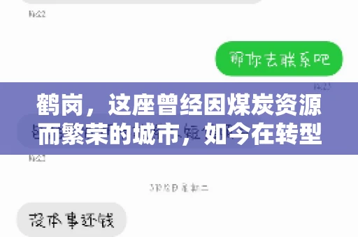 鹤岗，这座曾经因煤炭资源而繁荣的城市，如今在转型中寻求新的发展路径。在这座城市中，有一家名为“鹤岗要账公司”的企业，它以专业的服务，在众多企业中脱颖而出。今天，就让我们一起来了解一下这家公司，看看它是如何在这个充满挑战的市场中立足的。