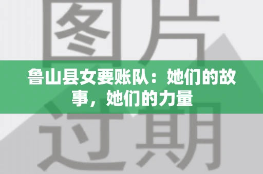 鲁山县女要账队：她们的故事，她们的力量