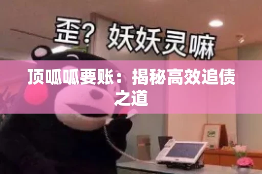 顶呱呱要账：揭秘高效追债之道
