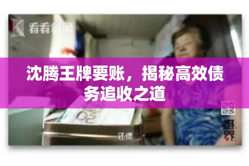 沈腾王牌要账,揭秘高效债务追收之道 沈腾王牌要账,揭秘高效债务追收之道