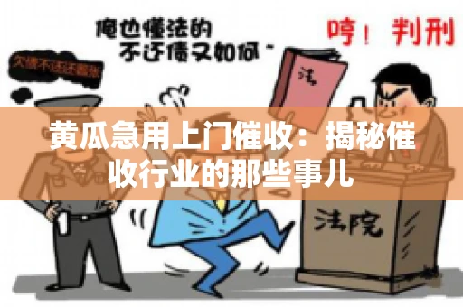 黄瓜急用上门催收：揭秘催收行业的那些事儿
