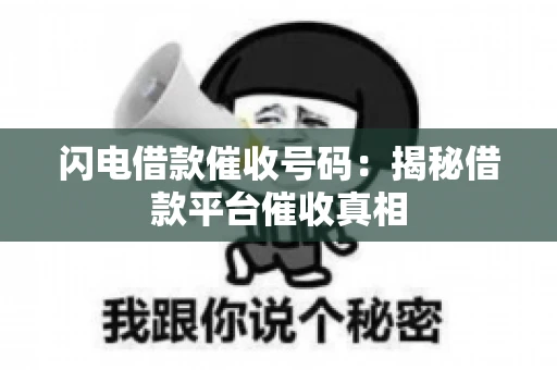 闪电借款催收号码：揭秘借款平台催收真相