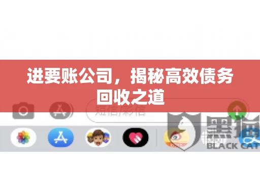 进要账公司，揭秘高效债务回收之道
