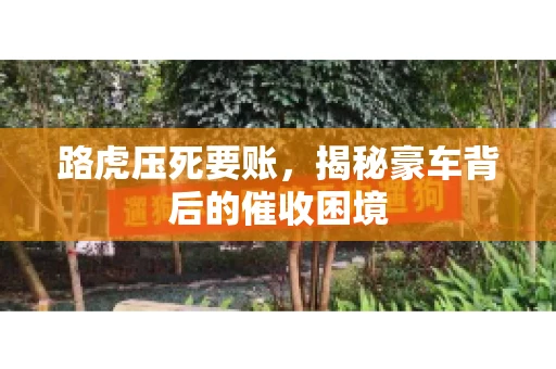 路虎压死要账，揭秘豪车背后的催收困境